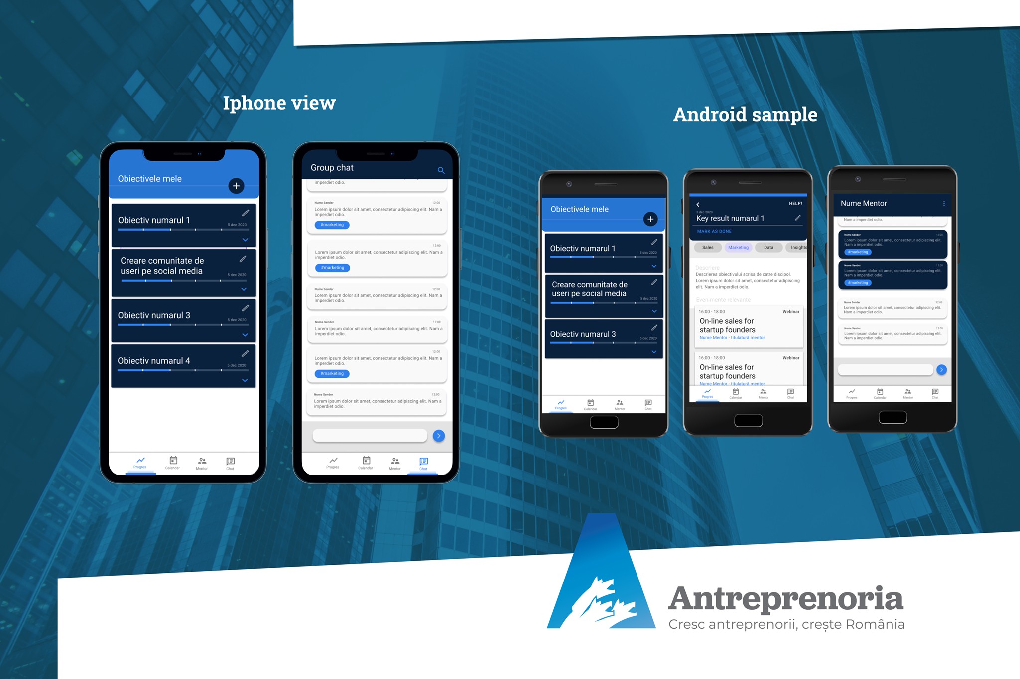 An image of the Antreprenoria project.